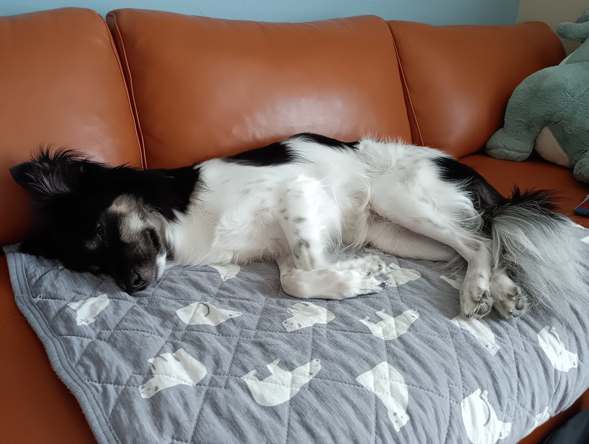 皆口裕子 (@minaguchiyuko) / Posts / X