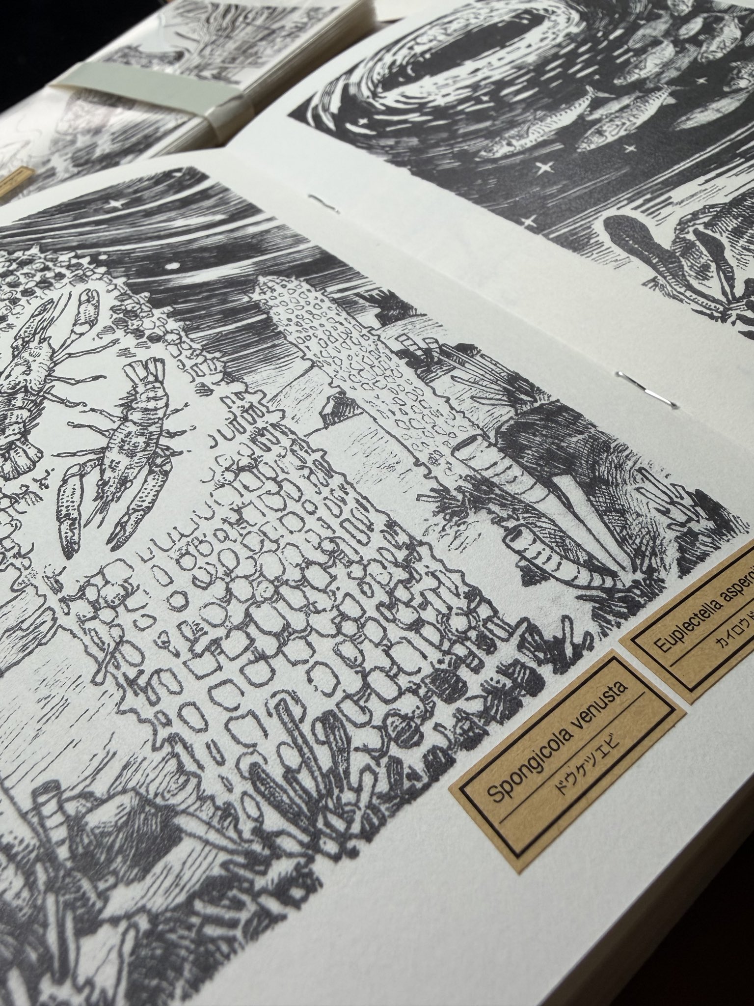 どっちに驚いてるかわからない絵 缶古鳥 on X: