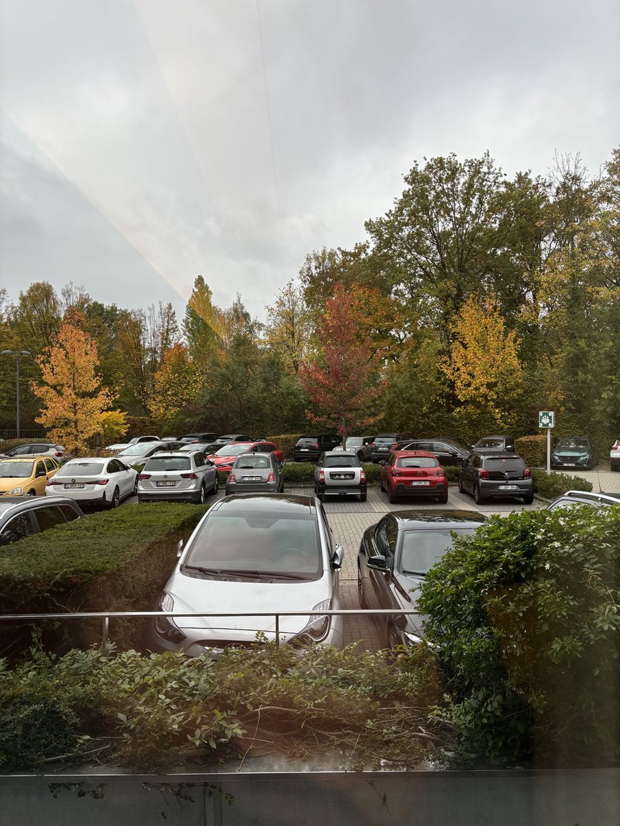 Gart Scheppers 🕊💙🕊️ tweet media