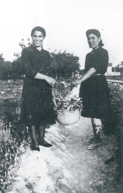 👩‍🌾#ArchivodeVoz en el día Internacional de la Mujeres Rurales. Este fragmento fue publicado en 📖 “Mayores que cuentan”
#AMMOL #ArchivoMunicipalMolinadeSegura #MolinadeSegura
ESCÚCHALO EN: 🔊youtube.com/watch?v=LtIHS6…
#Mujeres #Agricultura