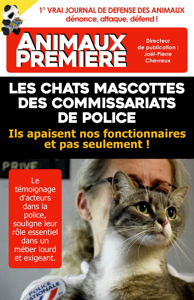 Animaux1ere's tweet photo. 😺 Chats mascottes dans les commissariats, des compagnons essentiels
➡️ https://t.co/lkkHucD5wP

🐈 Animaux Première s'est penché sur cette vision complète et humaine de nos petits félins fétiches dans les commissariats français.

#AnimauxPremière #Chat #Police
@Info1_premiere https://t.co/ZV4SKaxF3O