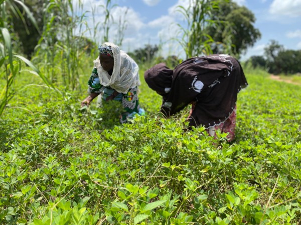 L_ESSOR's tweet photo. #Mali : #Environnement : Les femmes de #Siby à l’avant-garde de la sauvegarde
En plus d’être de ferventes agricultrices, les femmes de Siby sont aussi de véritables gardiennes de la nature. Elles assurent la protection de l’environnement avec leur savoir-faire...
https://t.co/sRDDnRpyWJ