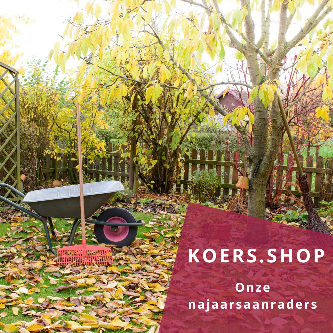 🍂 Bereid je tuin voor op een sterk voorjaar!

Onze najaarstips:
🌾 Natuurcompost – voed de bodem
🌿 Miscanthus &amp; houtsnippers – tegen onkruid &amp; kou
🚶‍♂️ KoMex®/KoTrec® – moddervrij de winter door
🪨 Siersplit &amp; grind – nette paden
🗑️ Groenafvalcontainers – snel opgeruimd