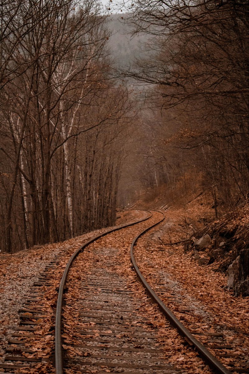 🍂🍁