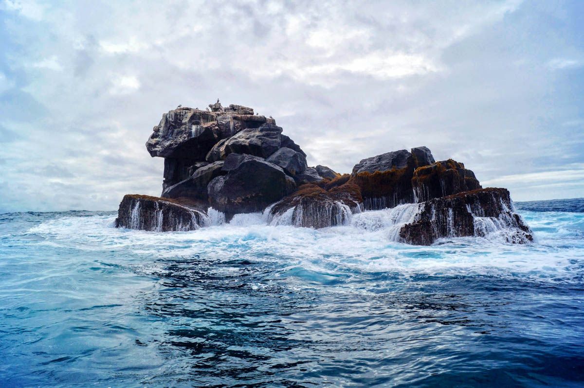 Diver_Travel's tweet photo. Into the Blue: Scuba Diving in the Galápagos – Why This Archipelago is Every Diver’s Dream
👉  https://t.co/mSboOlNVlC https://t.co/OhPQQVSMAF