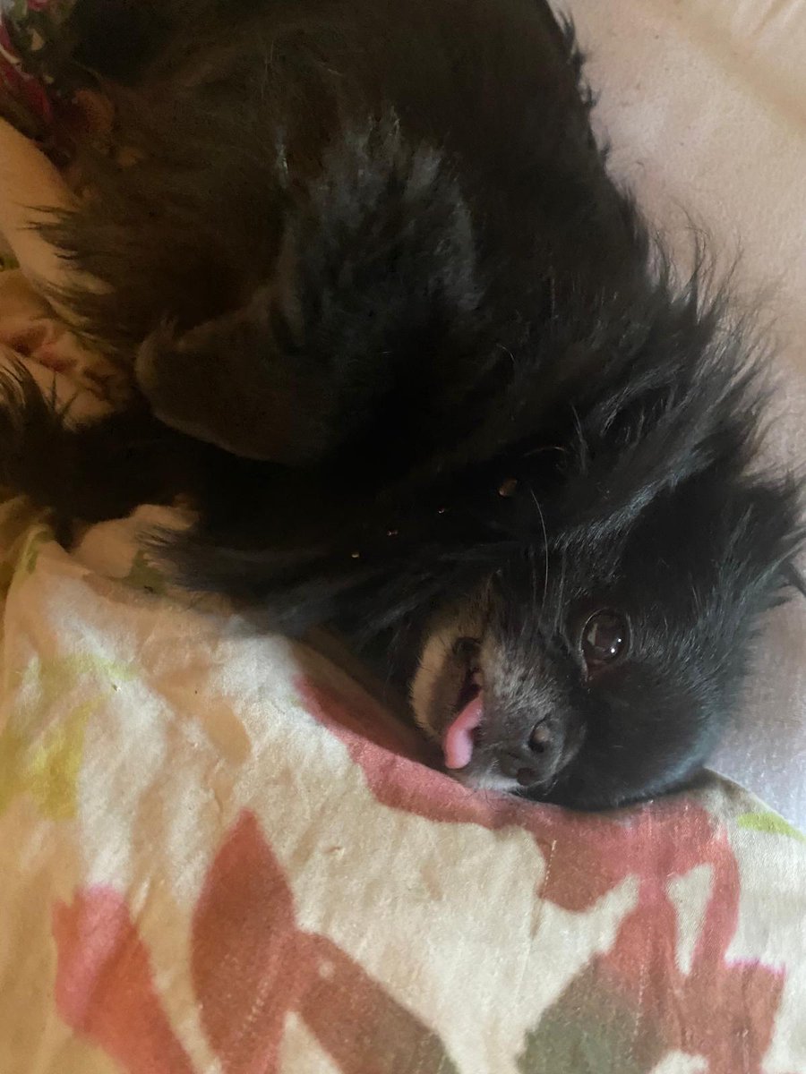 Scotty Club tweet media