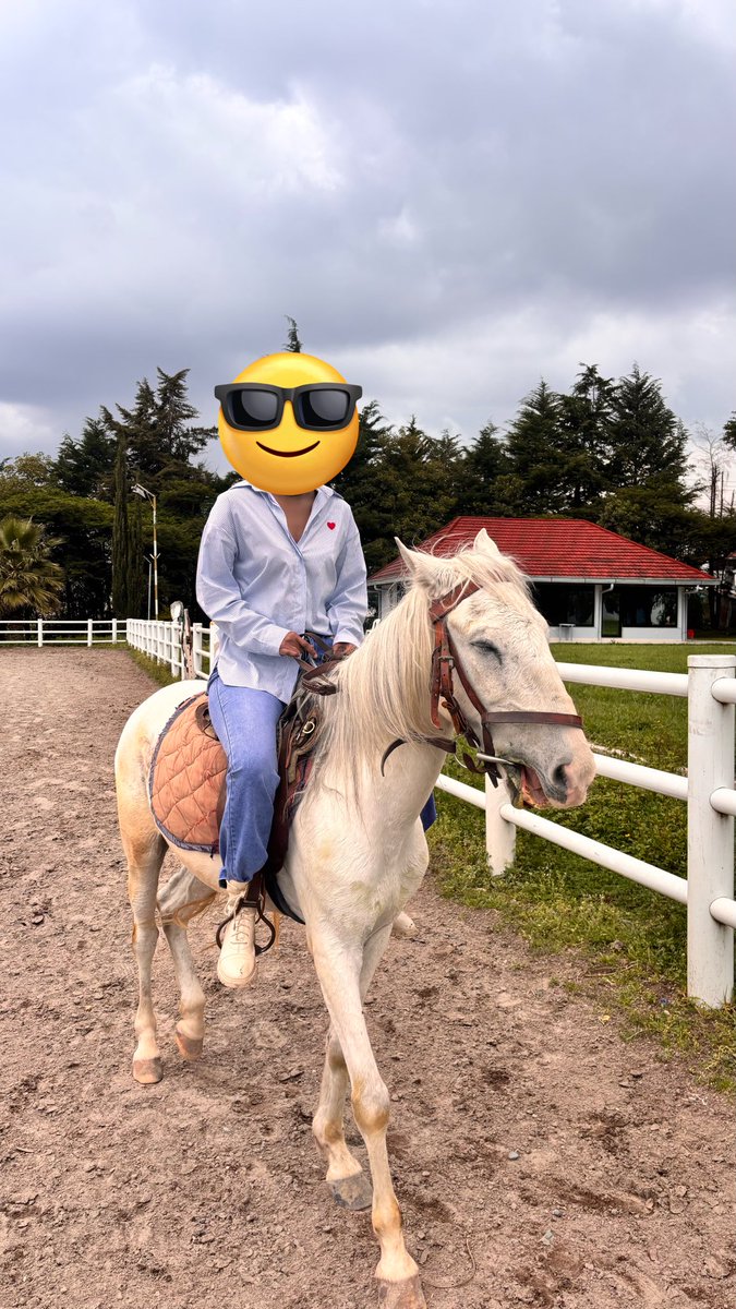 queendomish's tweet photo. 😭😭 https://t.co/ekqugNCuvL