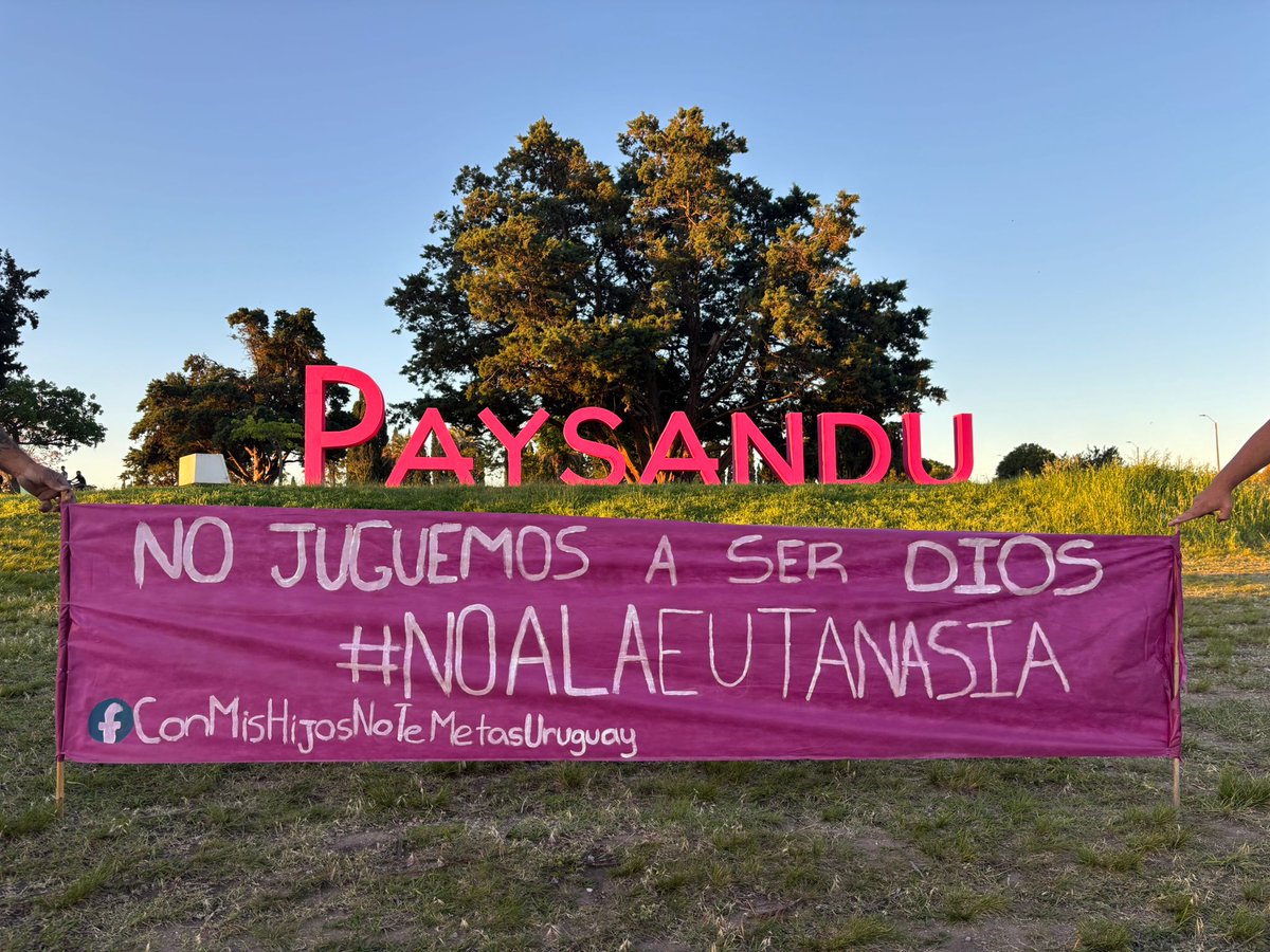 Dra.Lorena Quintana tweet media