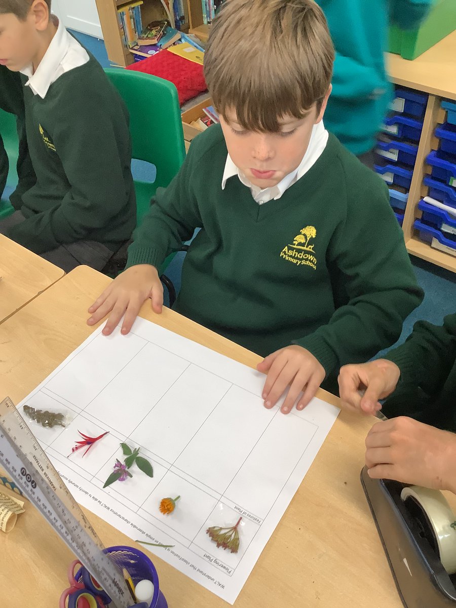 Ashdown Primary School tweet media