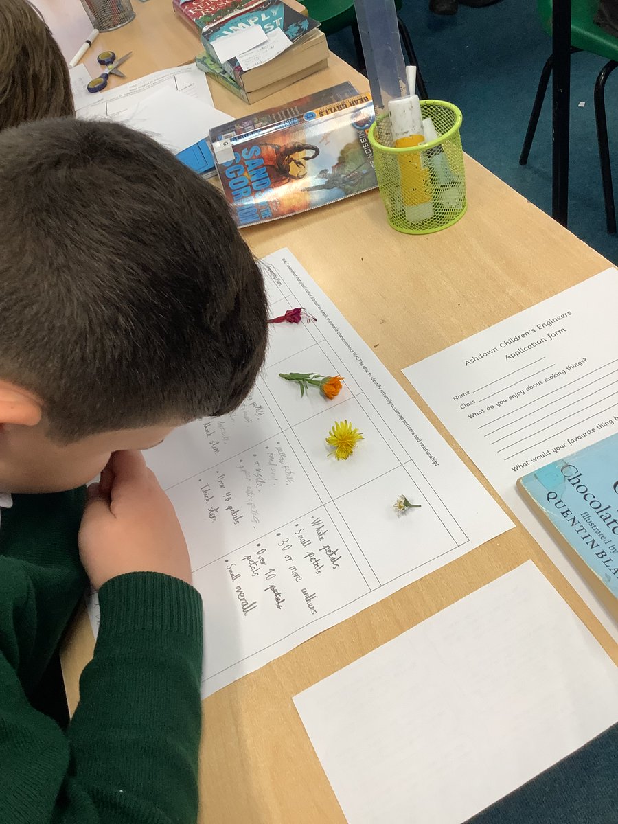 Ashdown Primary School tweet media