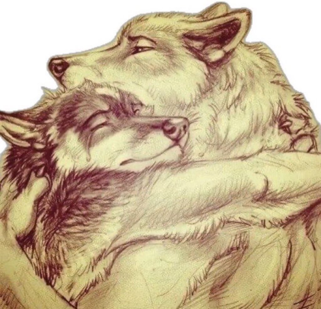 انا وكلمه بأبدأ بكرةة