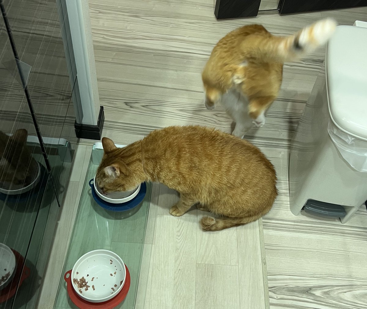 ケツが飛んでいる