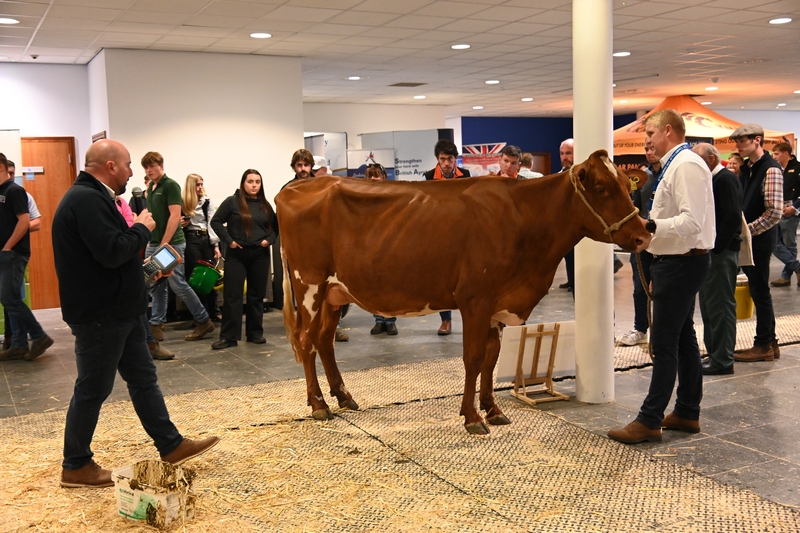 Thank you to NBDC for showcasing Type Classification at UK Dairy Day. 👏

A fascinating demonstration highlighting the value of assessing conformation for future herd improvement. 

▶️ nbdc.uk

#UKDairyDay