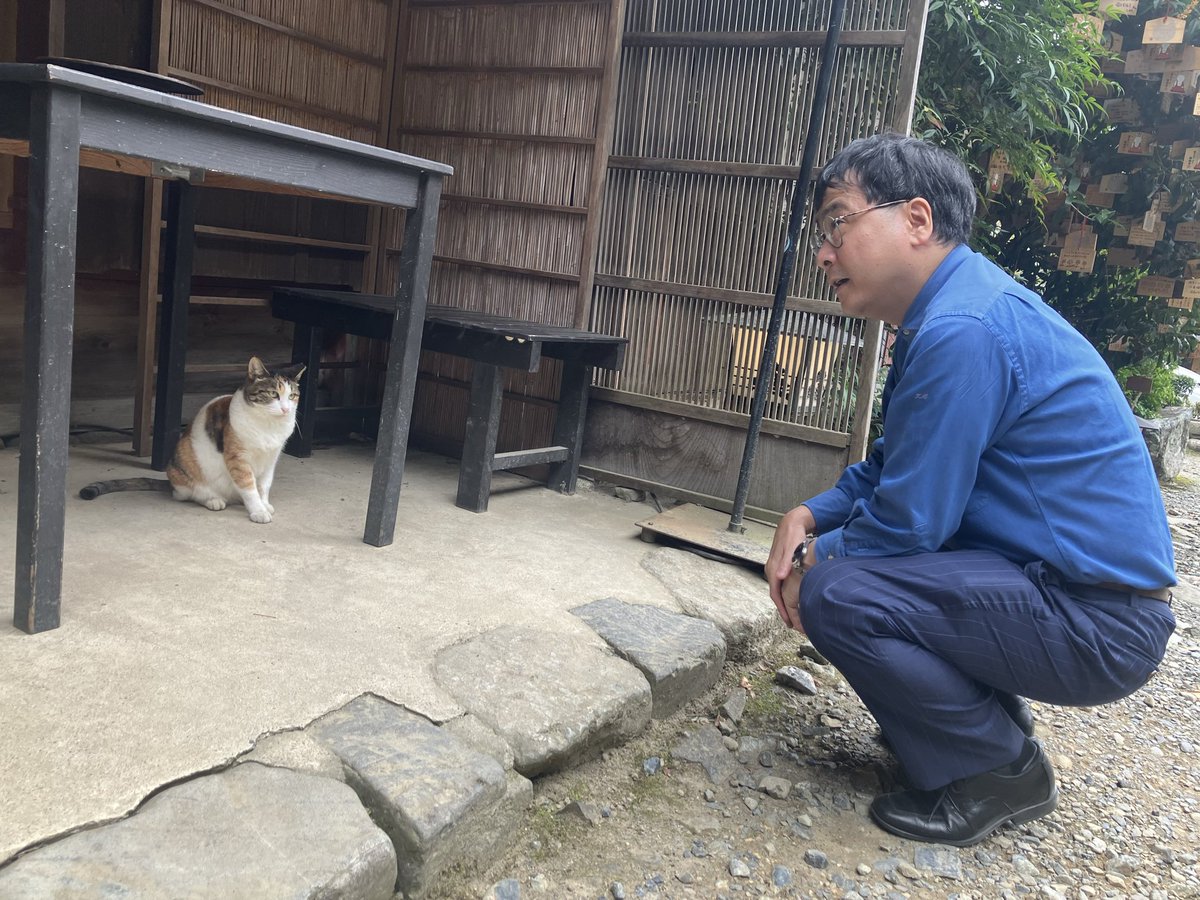 ねこばーぐページ ENS-PT-W04X ペーパーシアター-ウッドスタイル- 黒猫のジジ