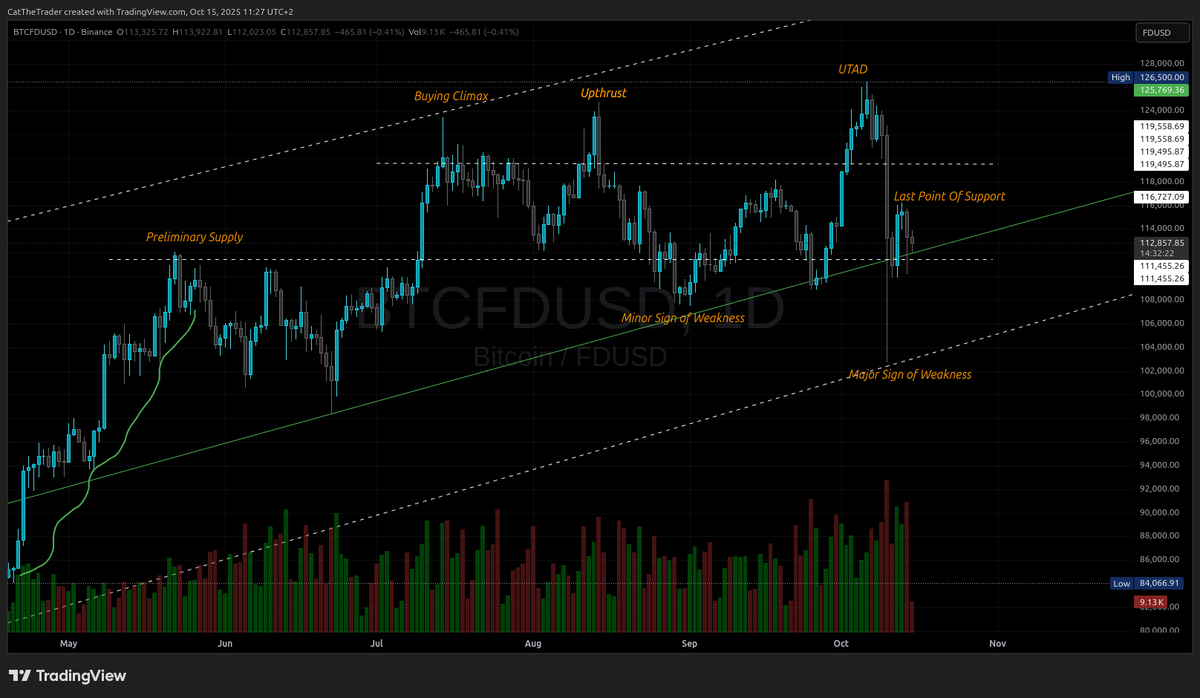 CatTheTrader's tweet photo. #TechnicalAnalysis
#Wyckoff
#VSA
#BTC
#Cryptocurrencies https://t.co/h7cgT5IJo1