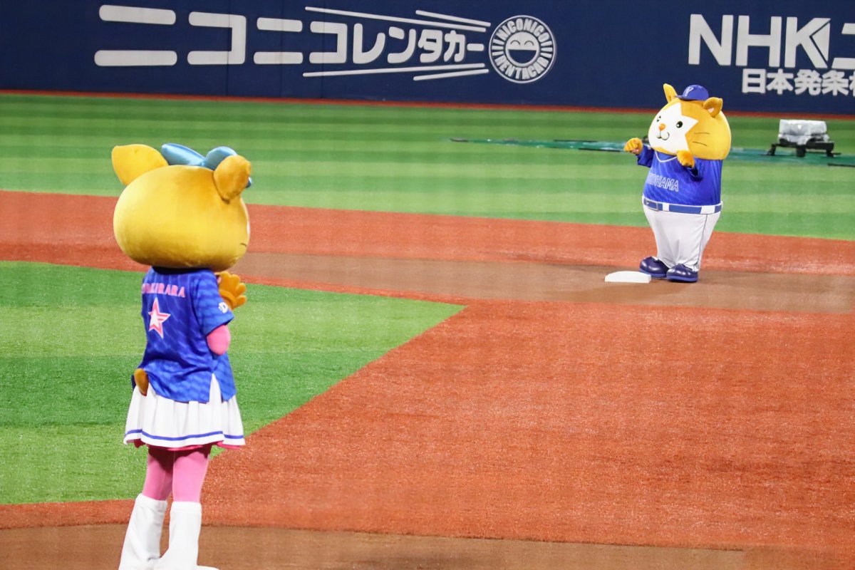 雨の中頑張ってる

#キララ
#スターマン
#baystars
#ハマスタpv
2025/10/15
