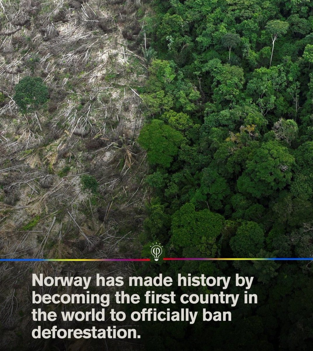 We need this in Australia!