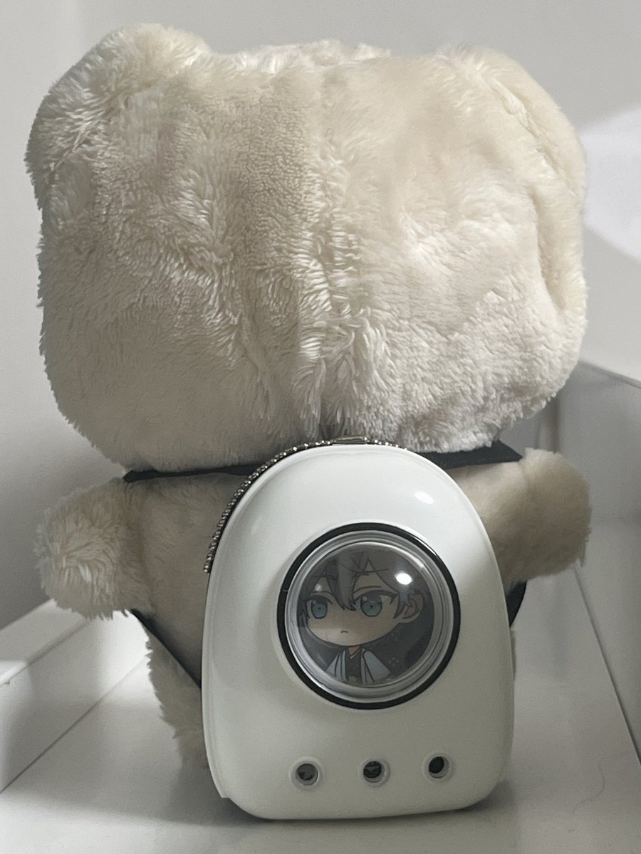 🐾
                   \ 😾 /