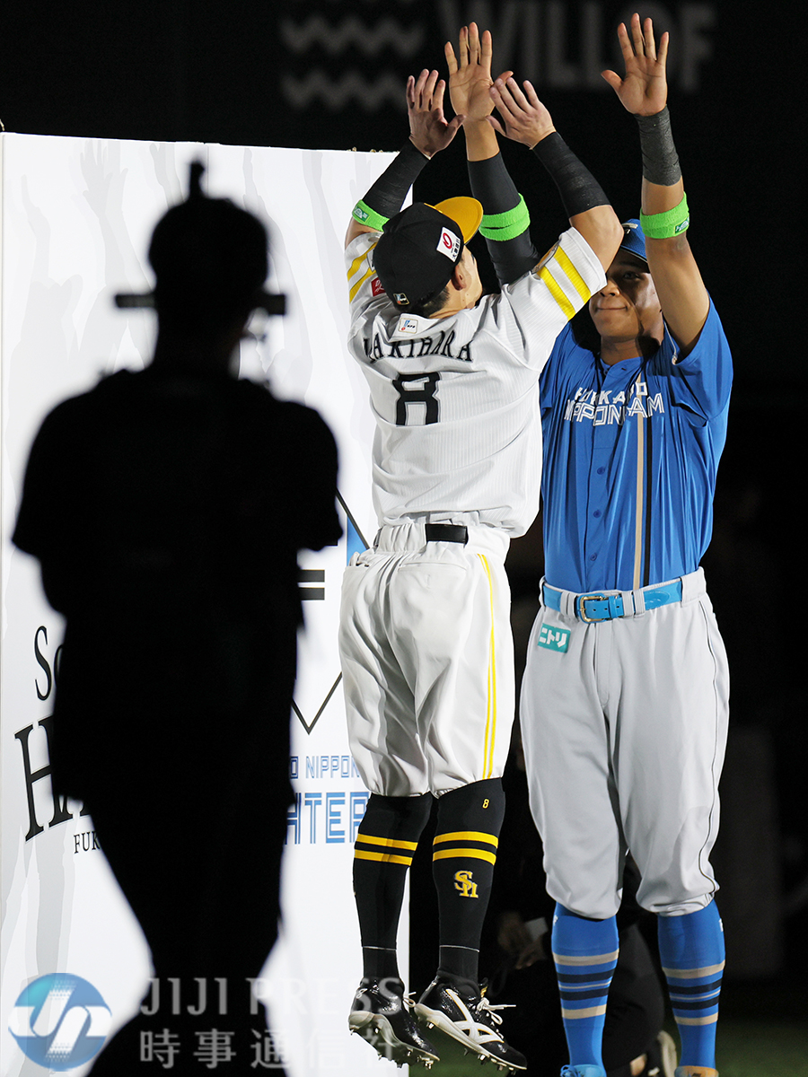 プロ野球ＣＳ・ソフトバンクー日本ハム。両チームの選手が一緒になってスターティングメンバー発表に臨みました。ソフトバンクの牧原大選手（左）は日本ハムの万波選手の掲げた手にジャンプしてタッチしました🙌

#sbhawks #lovefighters