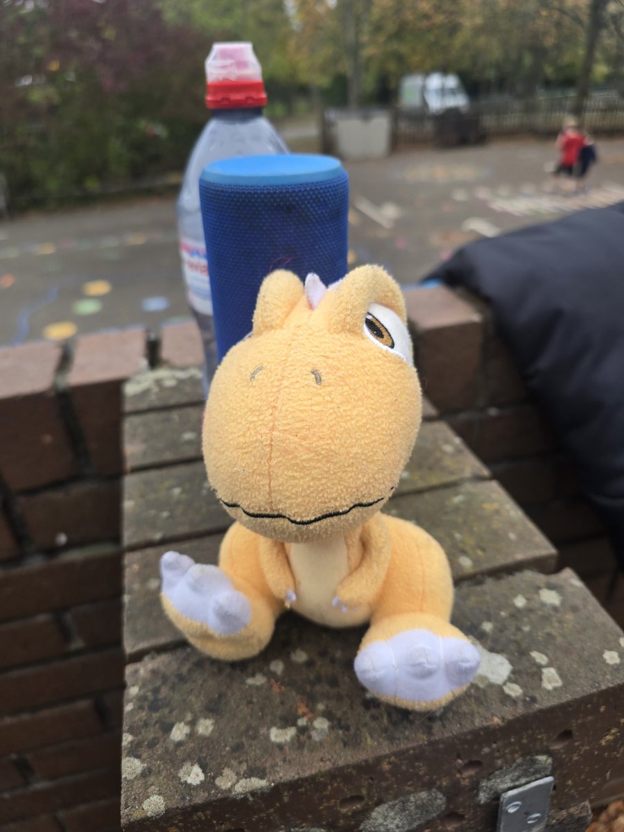 Angie Cottee tweet media