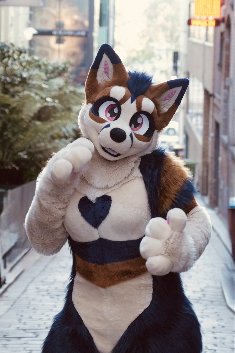 Riley π¦πΊ (@genericfoxsuit) on Twitter photo Hello to all my new followers β₯οΈ for those wondering, this beautiful fox girl was made by <a href="/8Bit_Works/">Eight πΎ Bit</a> Hello to all my new followers β₯οΈ for those wondering, this beautiful fox girl was made by <a href="/8Bit_Works/">Eight πΎ Bit</a>