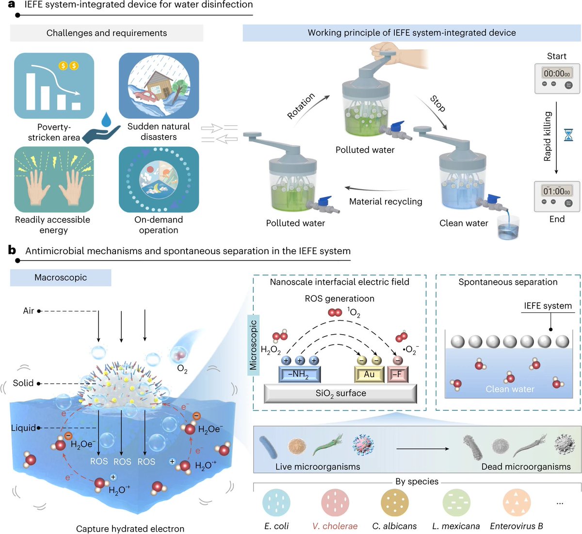 NatureNano's tweet image. New paper: 

Hand-powered interfacial electric-field-enhanced water disinfection system

"A manually operated, portable water disinfection system rapidly inactivates pathogens for water treatment in low-resource settings."

#disinfection
#disasterrelief

nature.com/articles/s4156…
