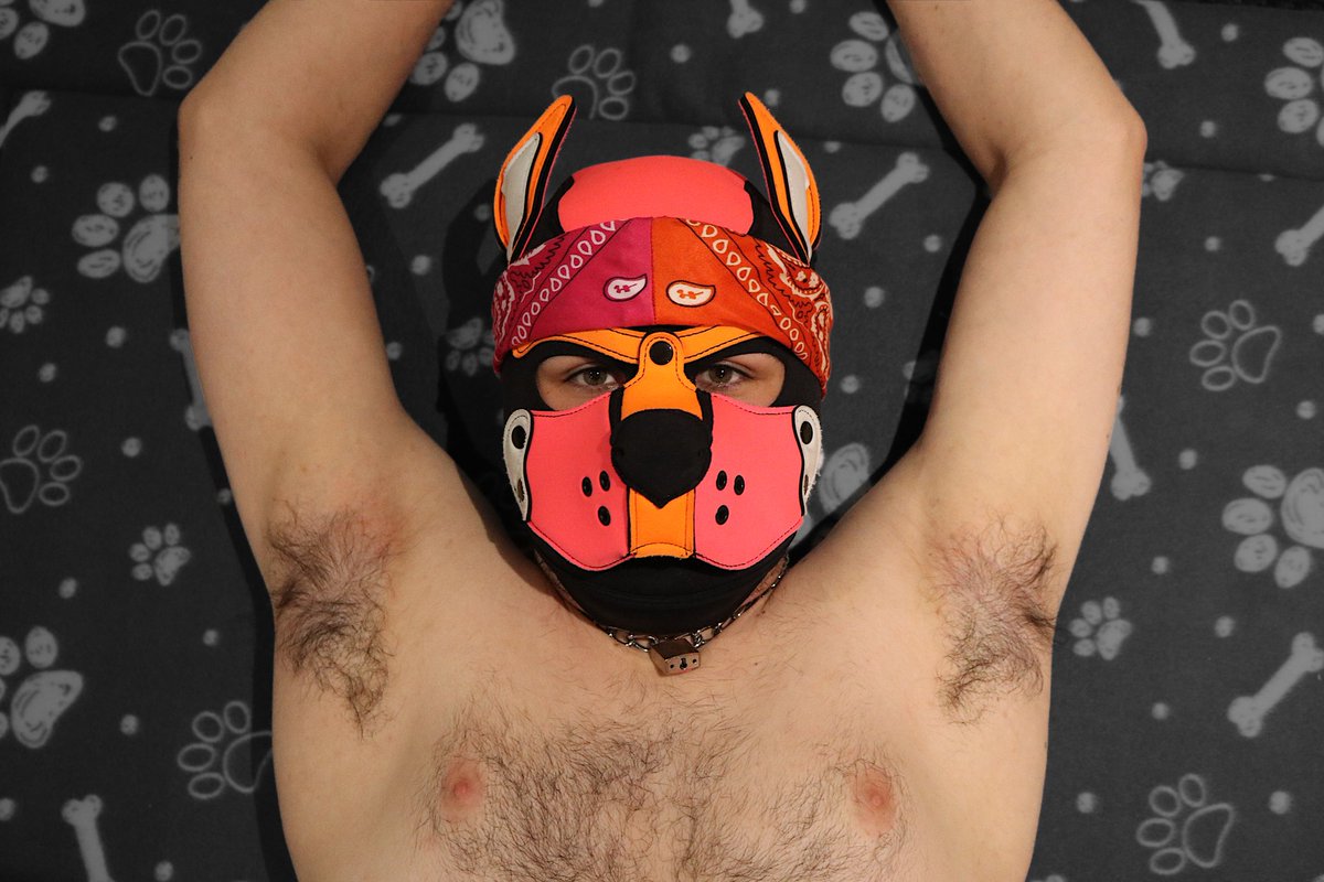 I could make so many captions for this... but I'm not gonna, and I'm instead gonna say how awesome <a href="/DogBoiSpoof/">SP👀F</a> is for taking and editing this picture of me 🥹 

Don't worry i rewarded him.......maybe we filmed that 🤷‍♂️