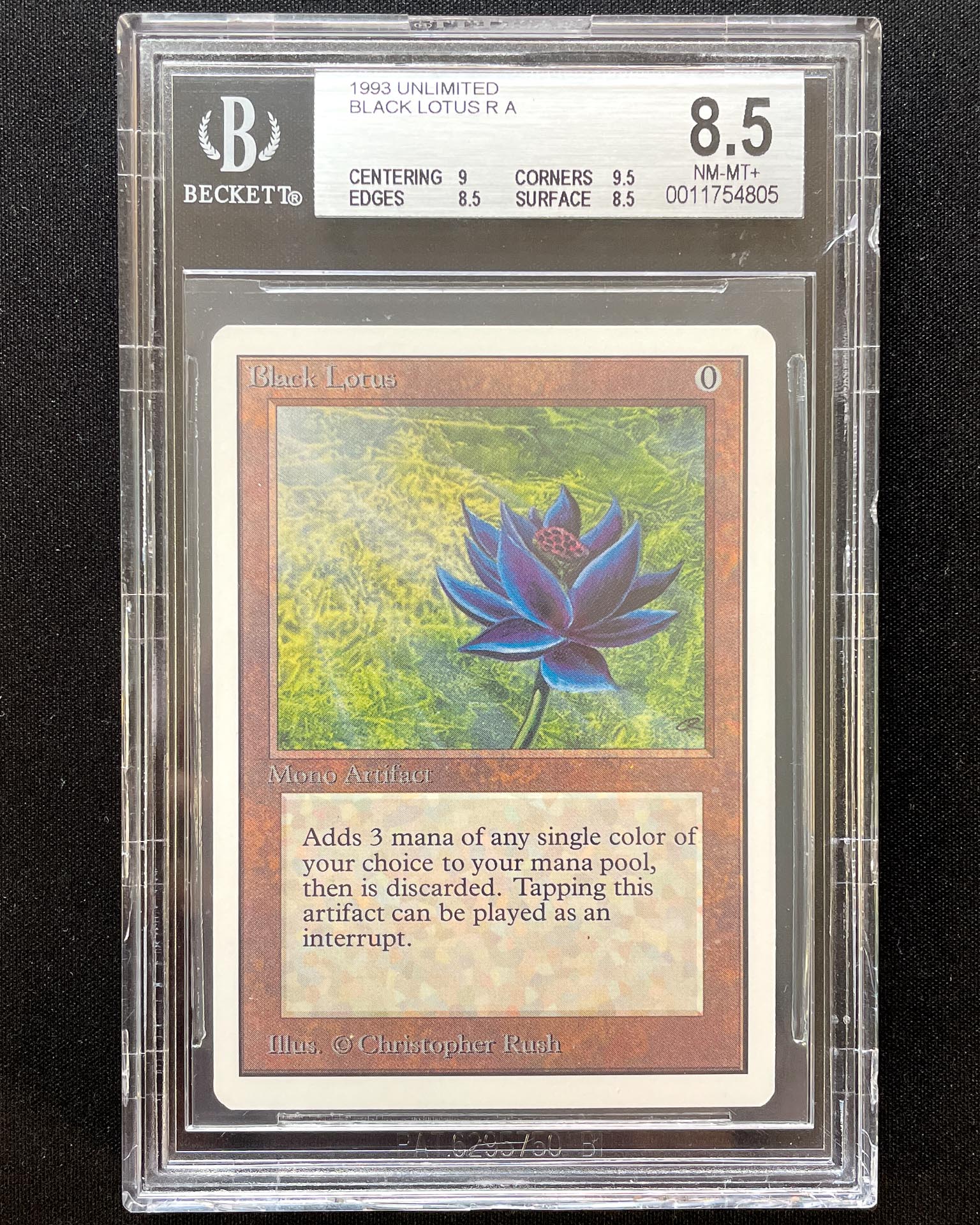 Lotus Bloom Games ダークスピード MAX Lotus Bloom Games ダークスピード MAX Lotus Bloom | Time