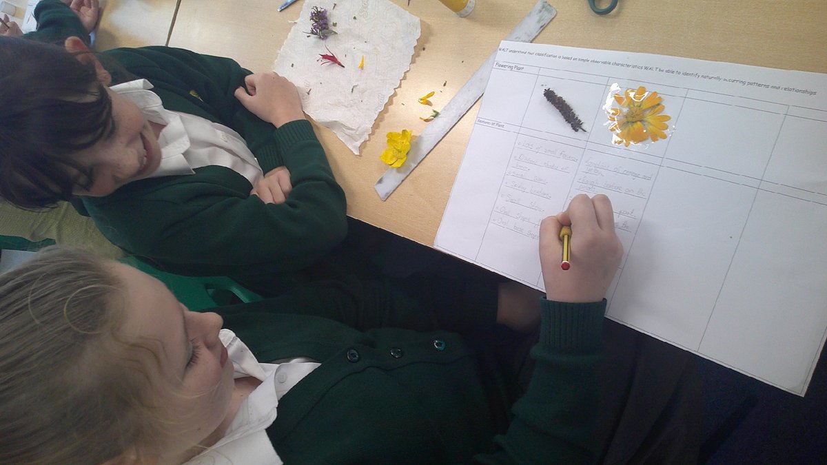 Ashdown Primary School tweet media