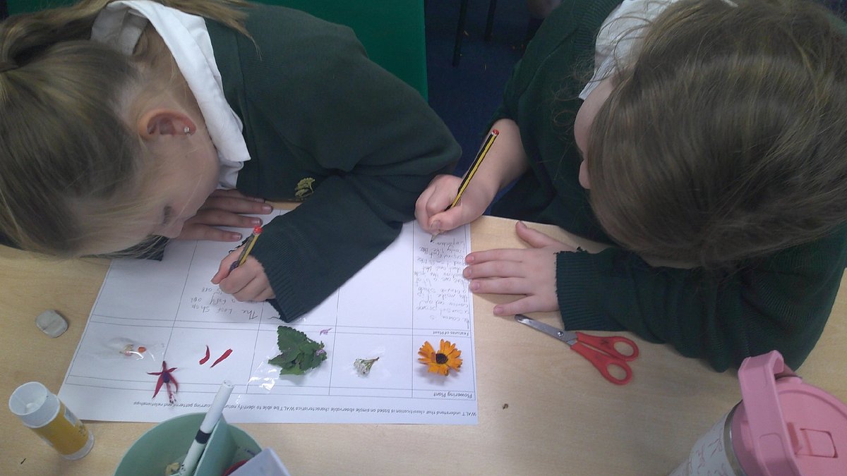 Ashdown Primary School tweet media