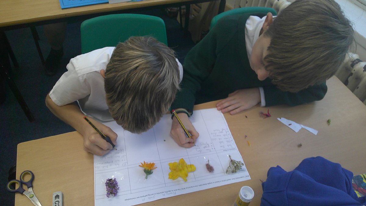 Ashdown Primary School tweet media