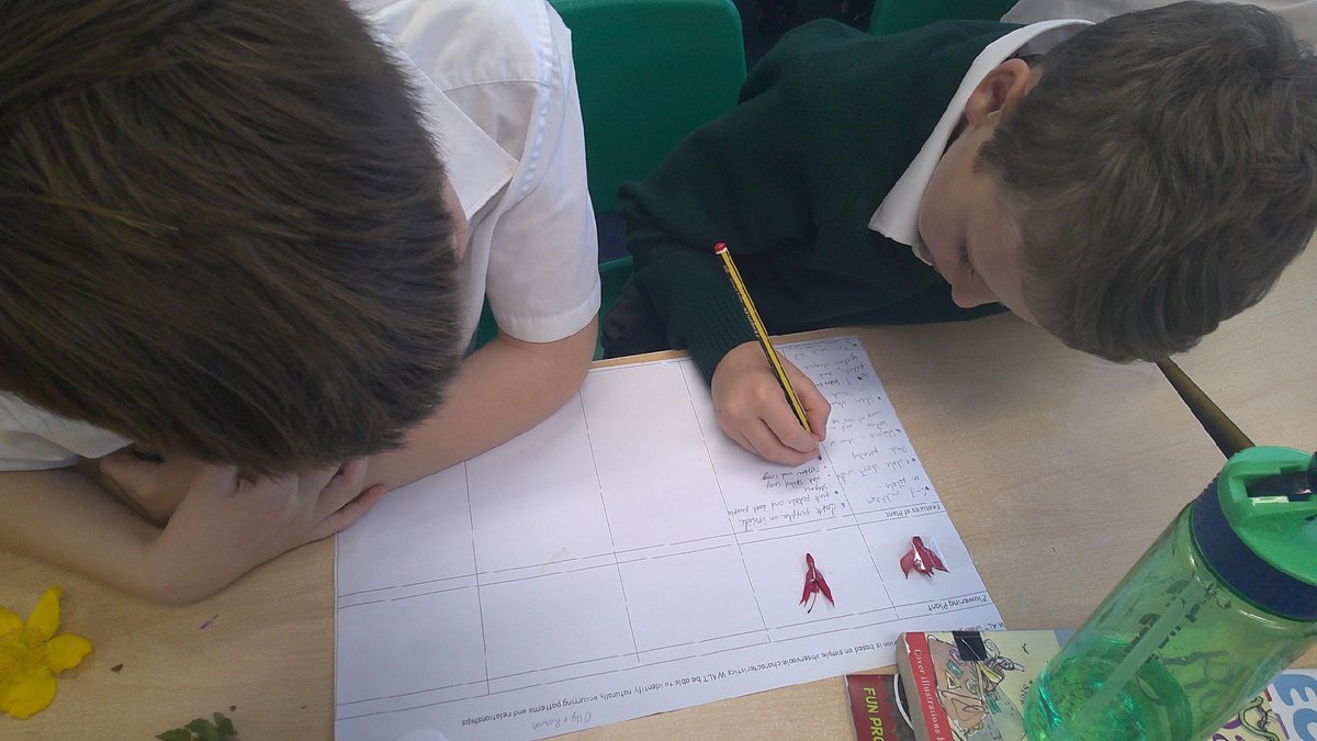 Ashdown Primary School tweet media