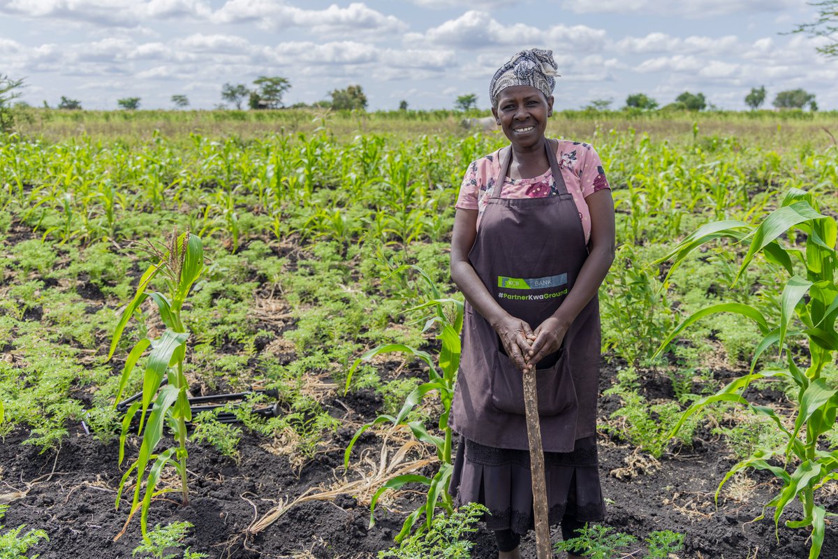 Mary Porter Peschka tweet media