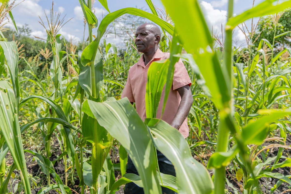 Mary Porter Peschka tweet media