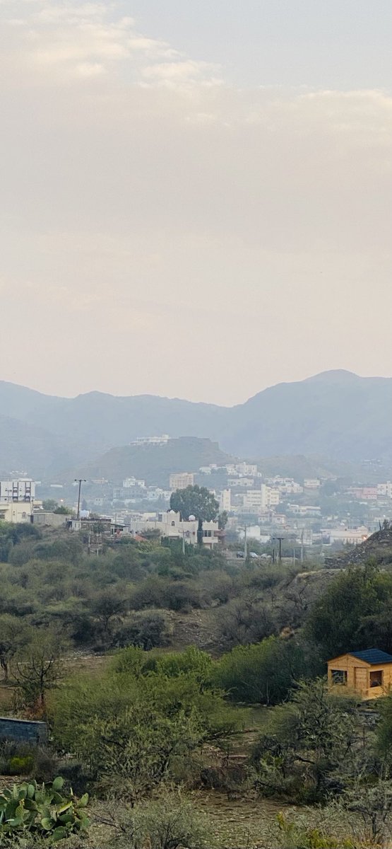 هذي اشجاري و تلك قريتي وذاك جبلي وما فوقهما سمائي