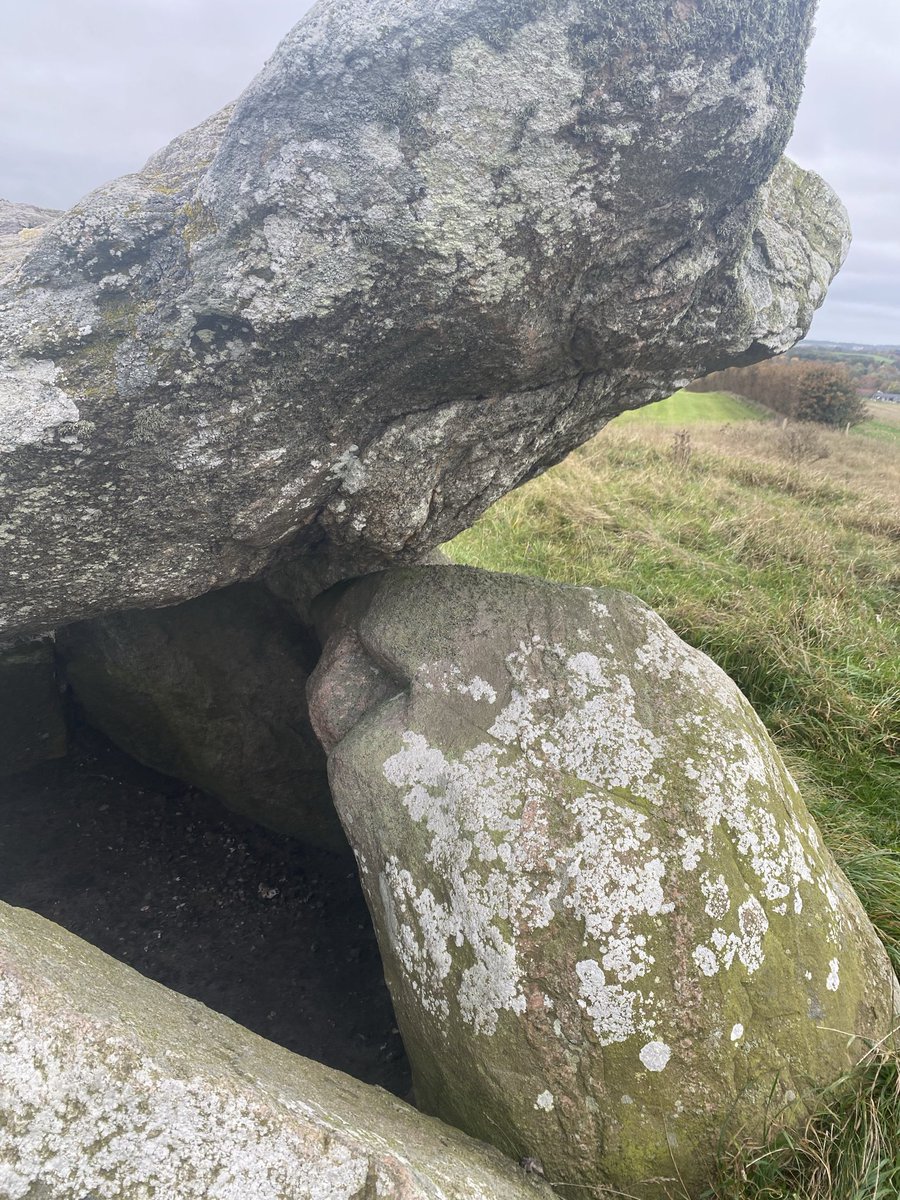 𝒫𝑜𝓃𝒹 𝒫𝑜𝑒𝓉𝑒𝓈𝓈 🦢🫧 tweet media