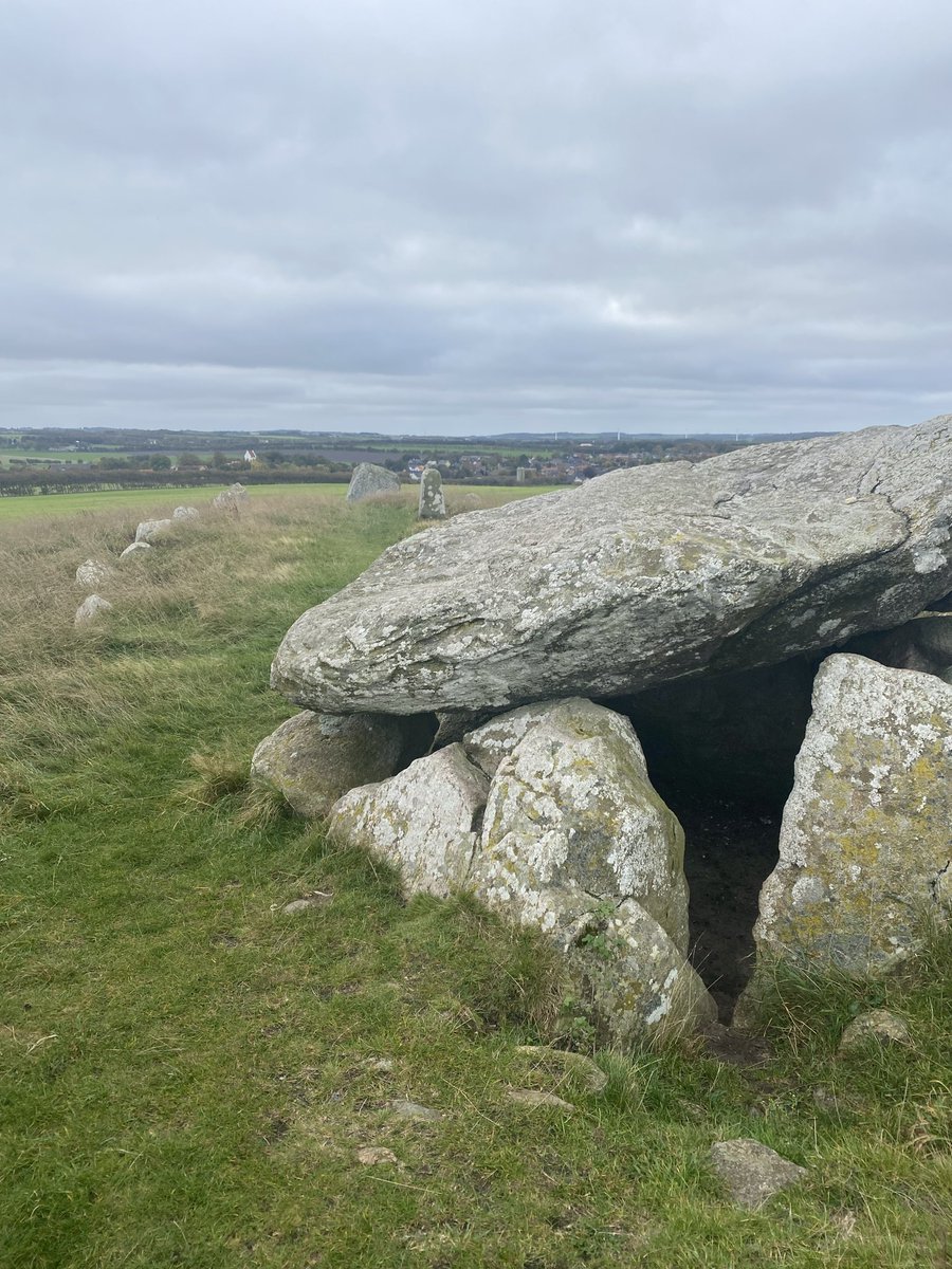 𝒫𝑜𝓃𝒹 𝒫𝑜𝑒𝓉𝑒𝓈𝓈 🦢🫧 tweet media