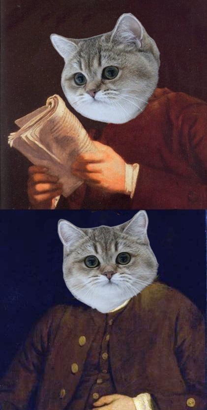 Posts about OG $Helia, launches the same damn cat as a new token