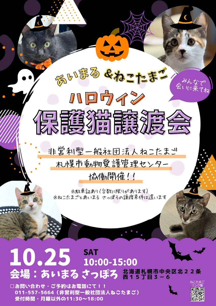 こたパパ (@kotapapa0608) / Posts / X