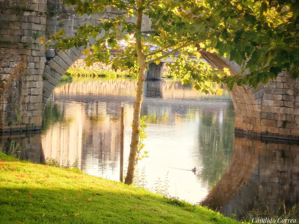 Reflejos en la hora dorada #MonforteDeLemos