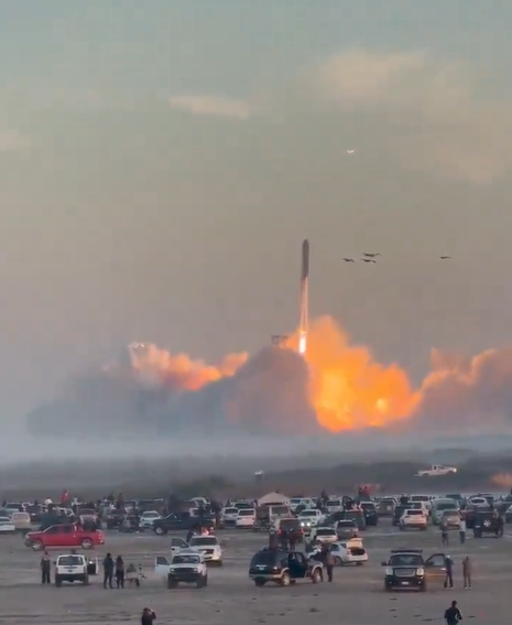 These birds witnessed the miracle!