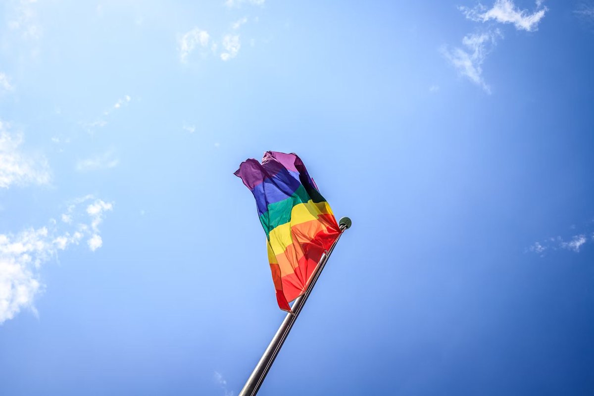 LGBTİ+ özendirilemez. 
LGBTİ+ övülecek bir şey değil, bir varoluş. 
LGBTİ+ bir seçim değil.
LGBTİ+ bir moda değil.
LGBTİ+ bir çete değil.
LGBTİ+ bireyleri rahat bırakın.