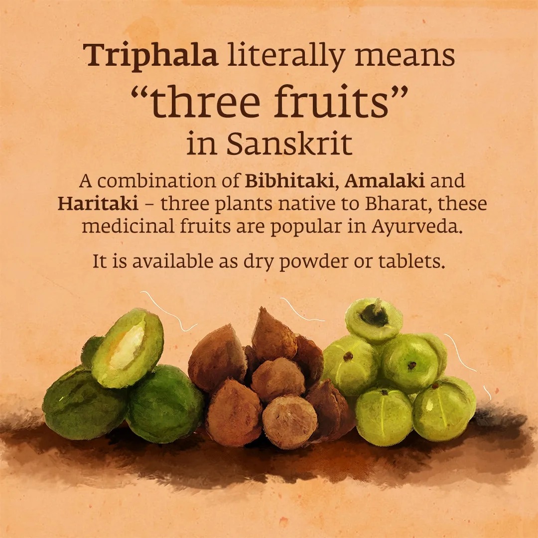 ishafoundation's tweet image. Triphala is a combination of three powerful fruits, all native to Bharat: Bibhitaki, Amalaki and Haritaki. Each of these three fruits are thought to positively impact your body’s three doshas – vata, pitta and kapha. Best known for its ability to support bowel health and aid…