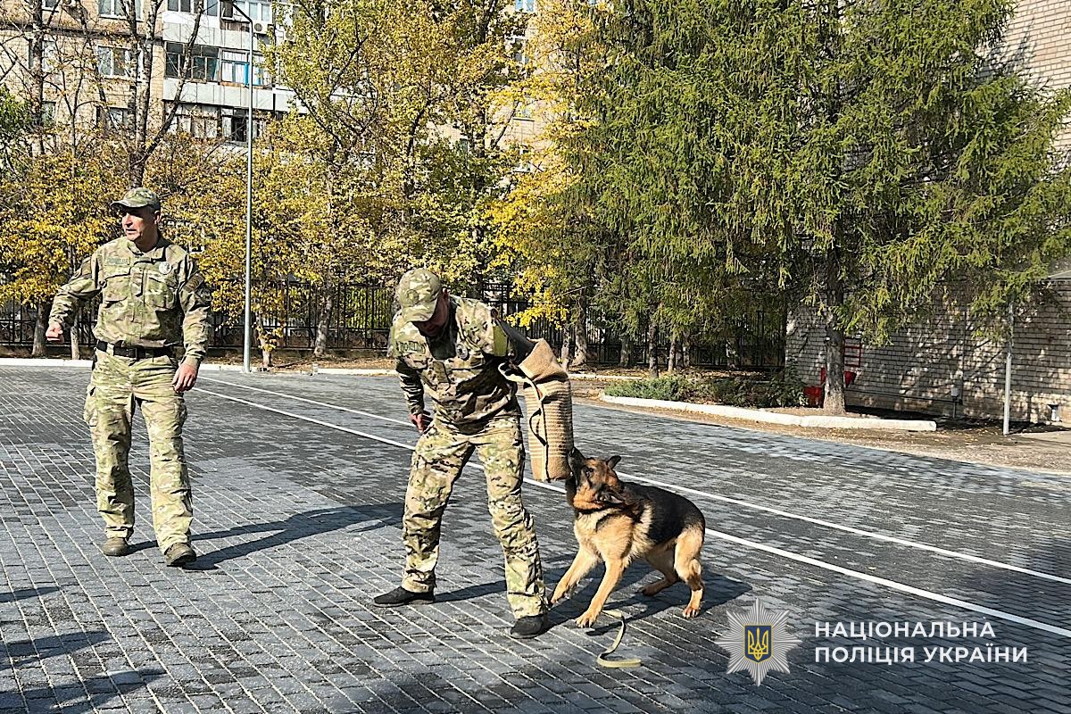 GUNP_Dnipro's tweet image. У Кривому Розі поліцейські познайомили слухачів академії із чотирилапими помічниками
Джерело: dp.npu.gov.ua/news/u-kryvomu…
@34_tv
@news112ua
@istv
#Поліція #Дніпро #новини