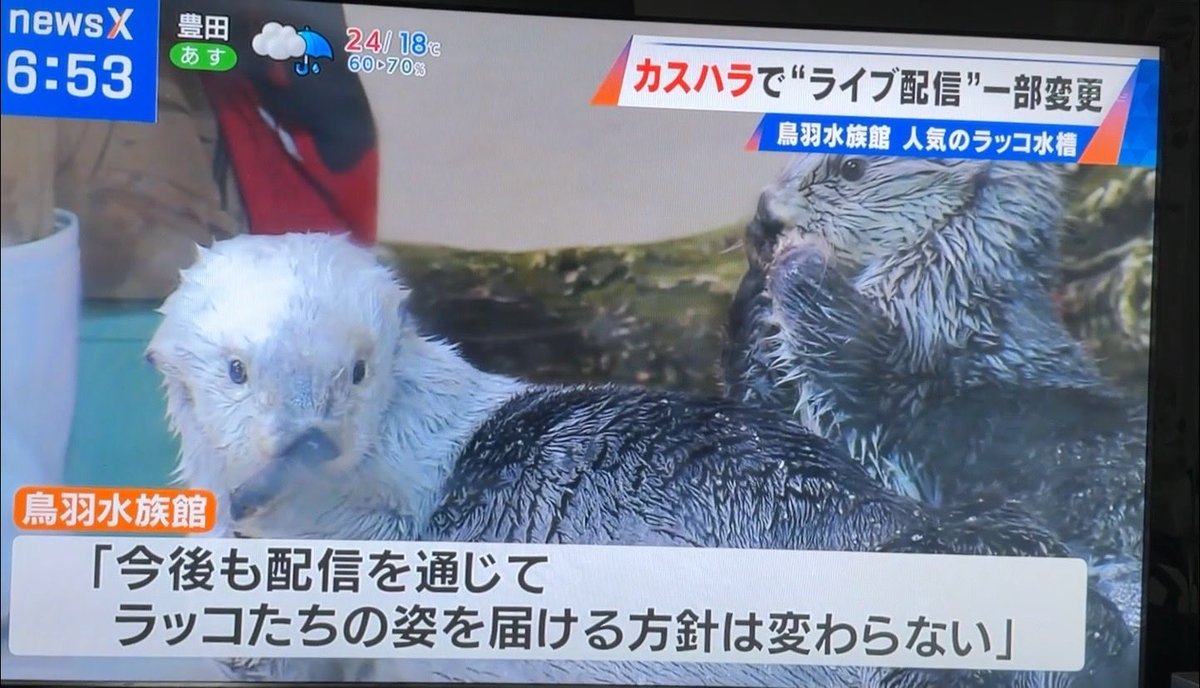 テレビ見てたらライブカメラモザイクの件ニュースになっててびっくりした😭
