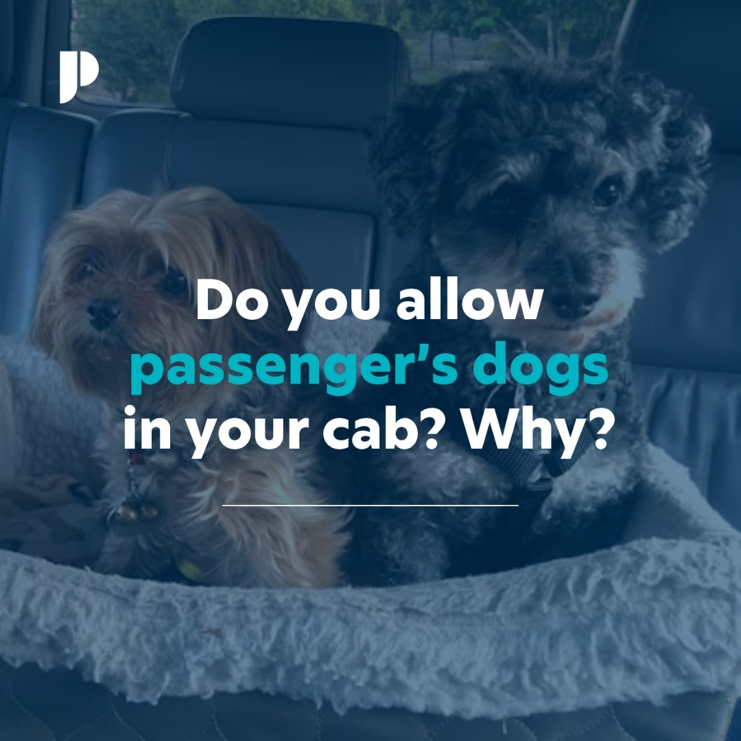 Whilst it's the law that taxis must allow assistance dogs, whether or not non-working dogs can hitch a ride is up to the taxi company and the driver. Do you allow furry friends in your backseat, or are they going to have to take the train? 🐶

#taxidriver #dog #discussion
