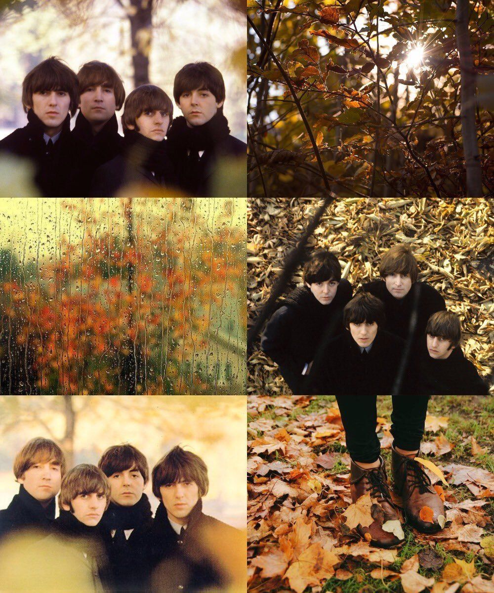 The Beatles Earth tweet media