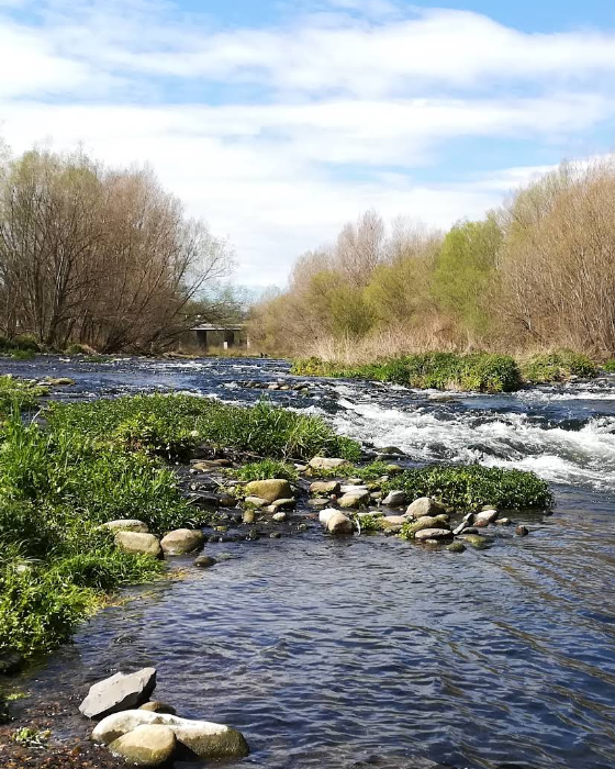 🌍 Dissabte 18 d’octubre, vine a donar un cop de mà per cuidar el nostre entorn! 💪
Us proposem netejar la llera del Ter a #Salt 🏞️
📍 Lloc de trobada: Aparcament del Pla dels Socs 🕙 10:00

📩 Inscripcions al Consorci del Ter: activitats@consorcidelter.cat @consorciter

#ViuSalt