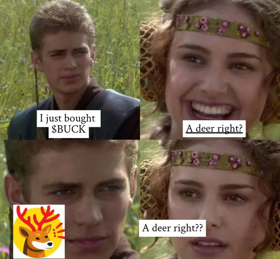 Bonk Buck Fan Page tweet media