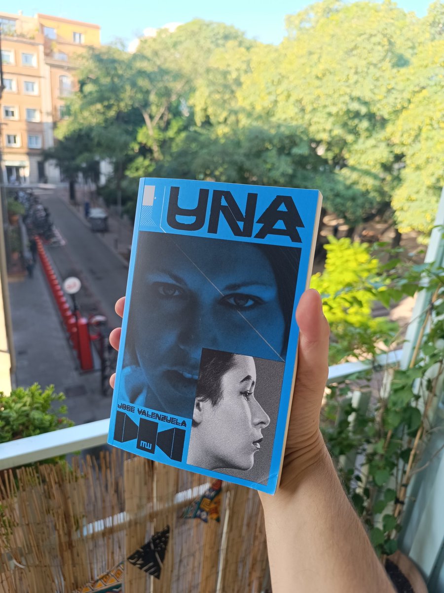 Si alguna vez te has sentido sola, o crees que eres un bicho raro, o eso oscuro que llevas dentro se ha vuelto más de una vez tu refugio hasta casi llevarte a tu propia autodestrucción, y casi ni sabes identificar quién o qué eres, esta novela es para ti.

#UNA <a href="/MMutandis_Edit/">Mutatis Mutandis</a>